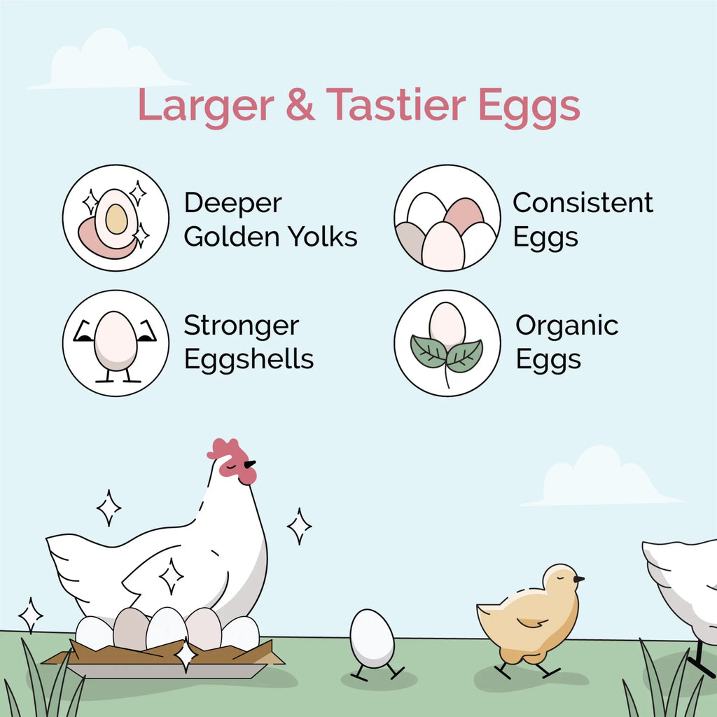 Non-Medicated 46 Non-GMO, 18% | Organic Chicken Grower Feed Mile Certified Certified 100% US | Food Corn-Free, Grain Grains, Whole | Grown | Organic, | Four Protein Soy-Free, lbs. Chicken