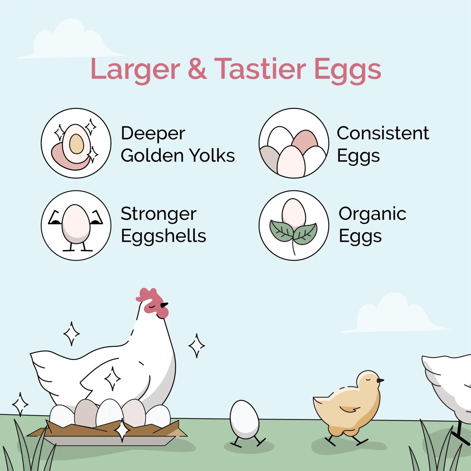 Non-Medicated 46 Non-GMO, 18% | Organic Chicken Grower Feed Mile Certified Certified 100% US | Food Corn-Free, Grain Grains, Whole | Grown | Organic, | Four Protein Soy-Free, lbs. Chicken