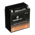 Jet CCA) Ah, Jf650 Kawasaki Chrome YTX16L-BS 1991 Ski X2 12 Battery Battery for (16L-BS 650cc Volt,14 230
