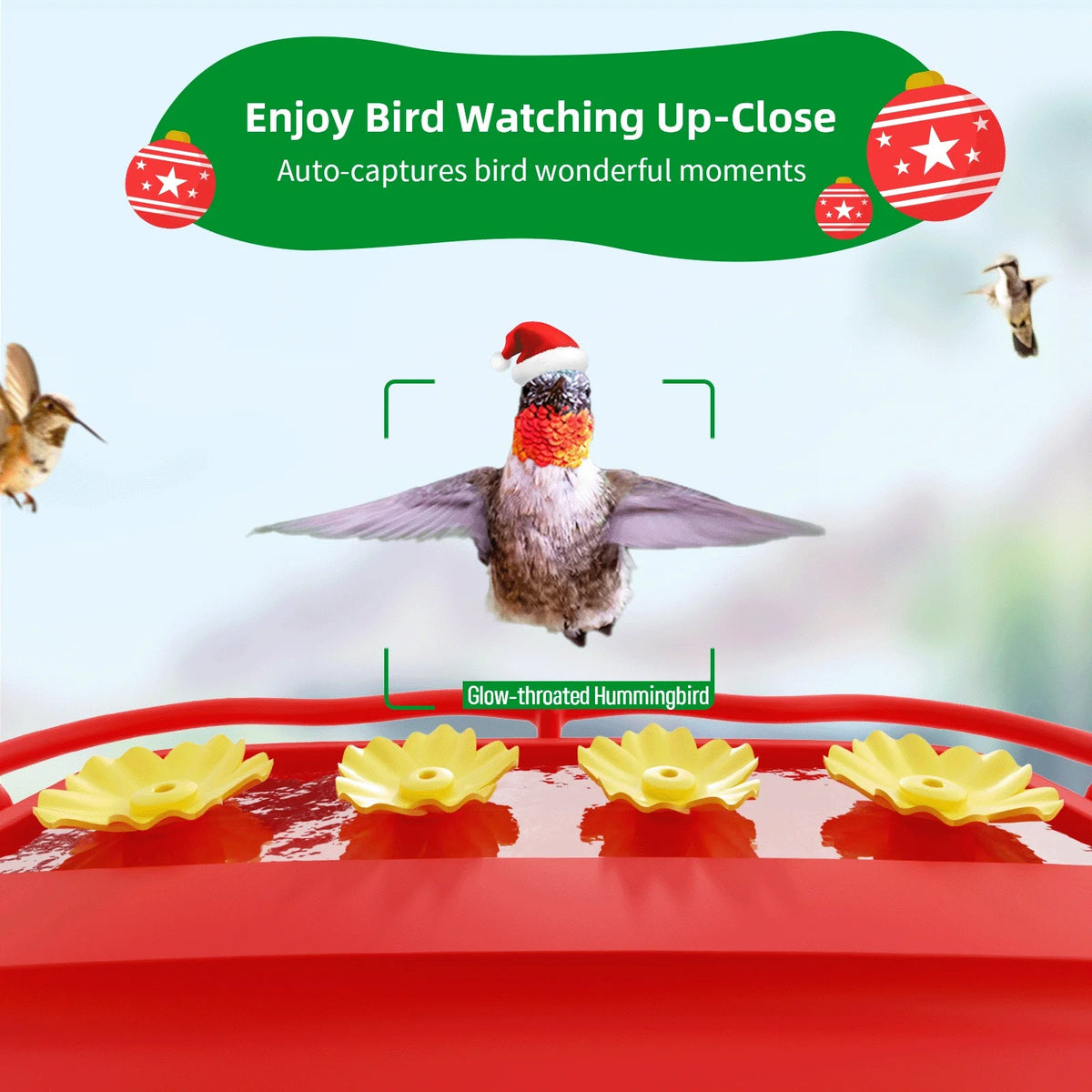 Smart Hummingbird House, Camera Species, Feeder Up-Close,AI Hummingbird Wooden Capture,Birdwatching exterior Bird More 2 Identify 350+ Attract Camera Gift Feeder Unique with Hummingbird for Auto-Video
