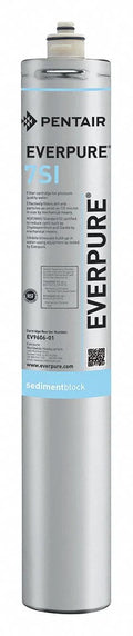 EV960601 liquid Filtration Cartridge System Everpure