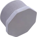 American 1-1/2" Products Plug, Pentair Main Drain,