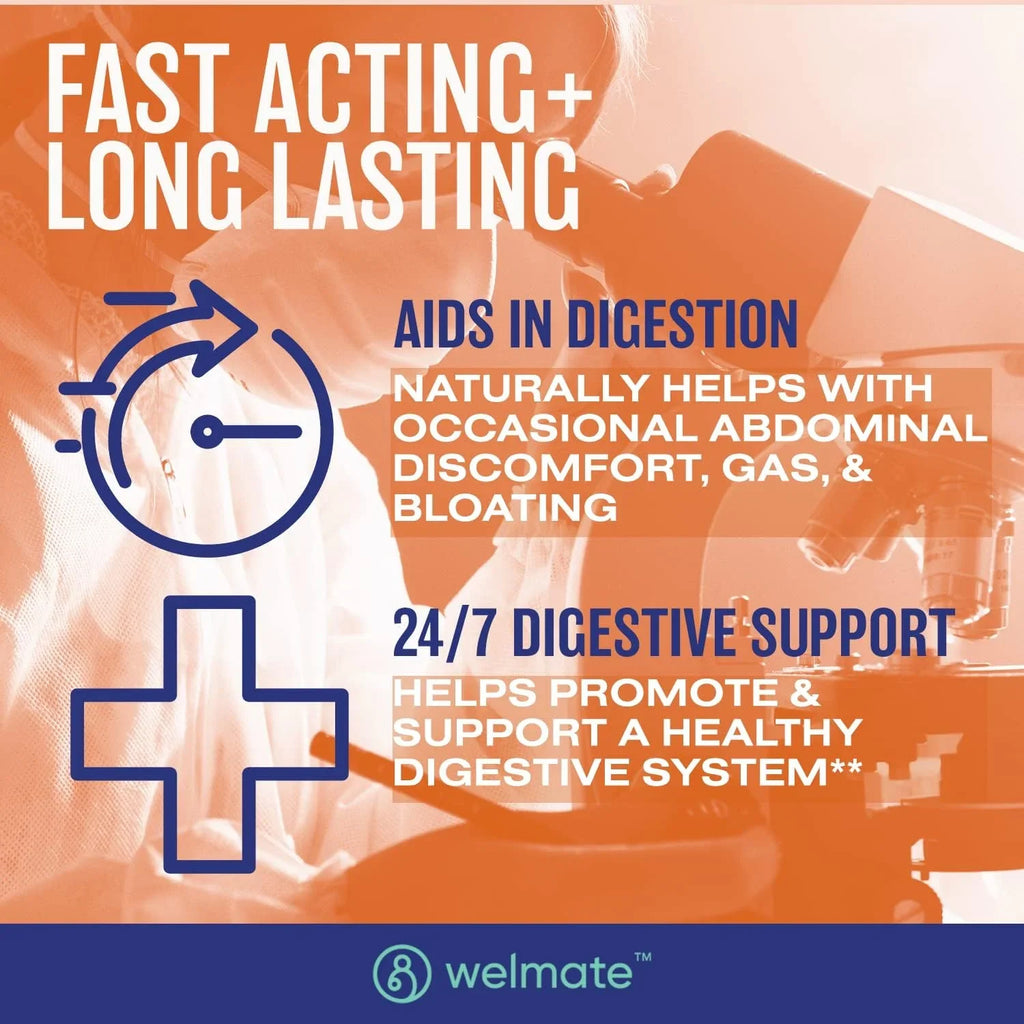 Probiotic Count 24/7 Support Digestive - - Welmate 200 Supplement Bifidobacterium Capsules