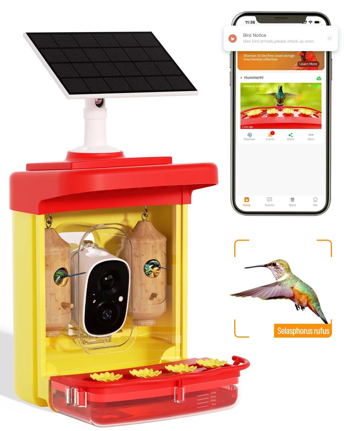Smart Hummingbird House, Camera Species, Feeder Up-Close,AI Hummingbird Wooden Capture,Birdwatching exterior Bird More 2 Identify 350+ Attract Camera Gift Feeder Unique with Hummingbird for Auto-Video
