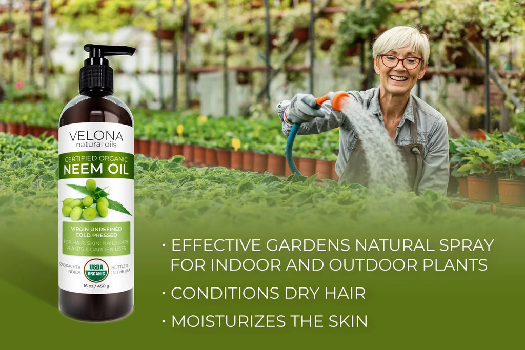 '- Today Cold Natural and Oil Virgin, | | Neem Velona Carrier | Oil Certified Pressed Use Hair, Body and Results Organic oz Care 100% | Skin Enjoy 64 - USDA Unrefined, Pure