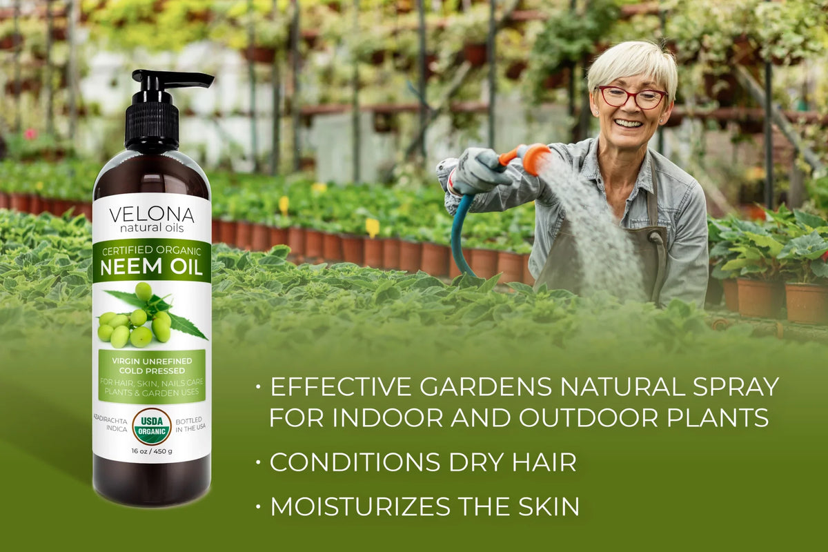 '- Today Cold Natural and Oil Virgin, | | Neem Velona Carrier | Oil Certified Pressed Use Hair, Body and Results Organic oz Care 100% | Skin Enjoy 64 - USDA Unrefined, Pure