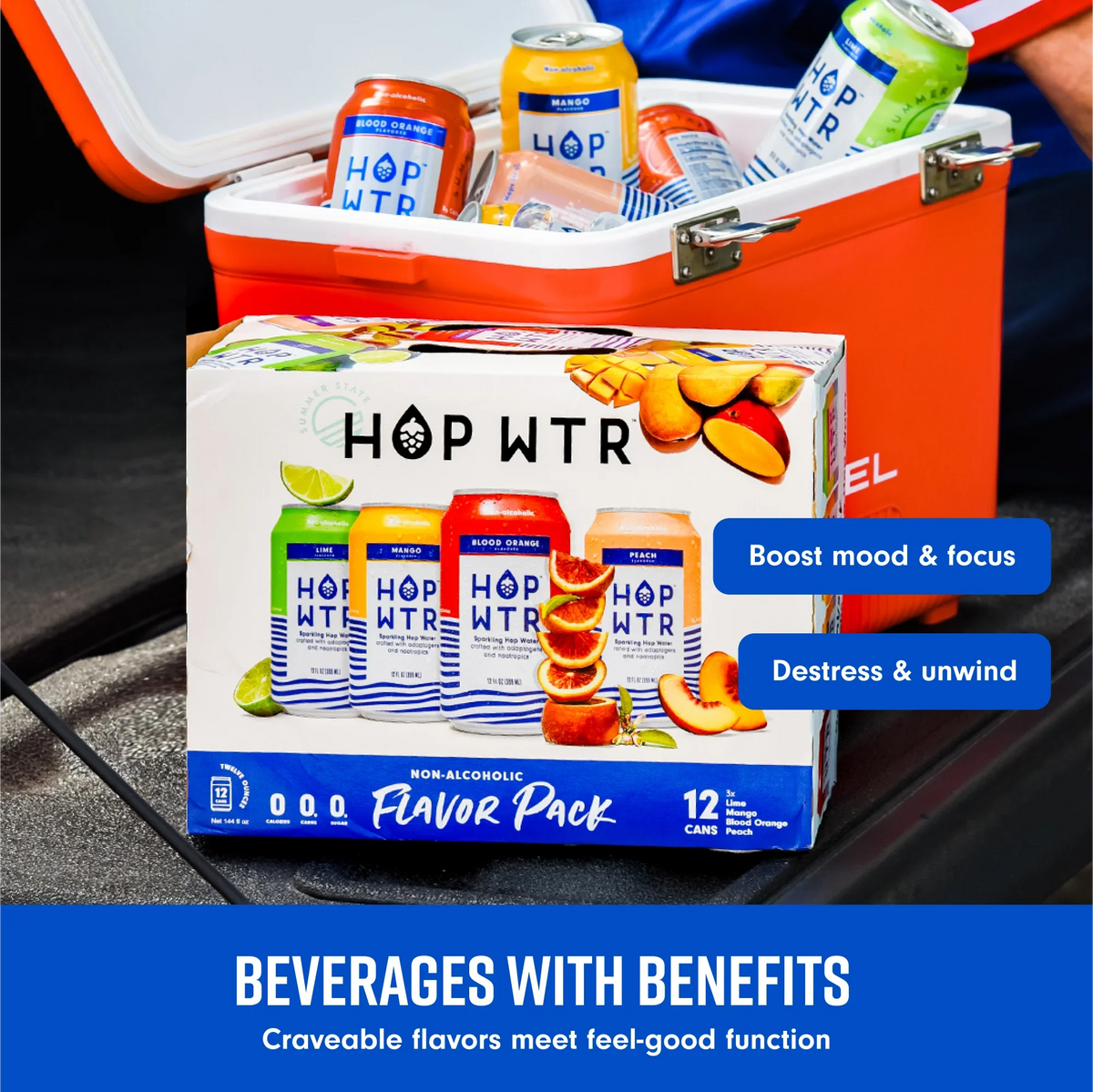 Benefits Cans) Sugar, oz - Adaptogens Beer, Added liquid Flavor No Low - - for or Carb, NA Hop Sparkling Pack and Calories (12 WTR Nootropics HOP (12 Pack) With