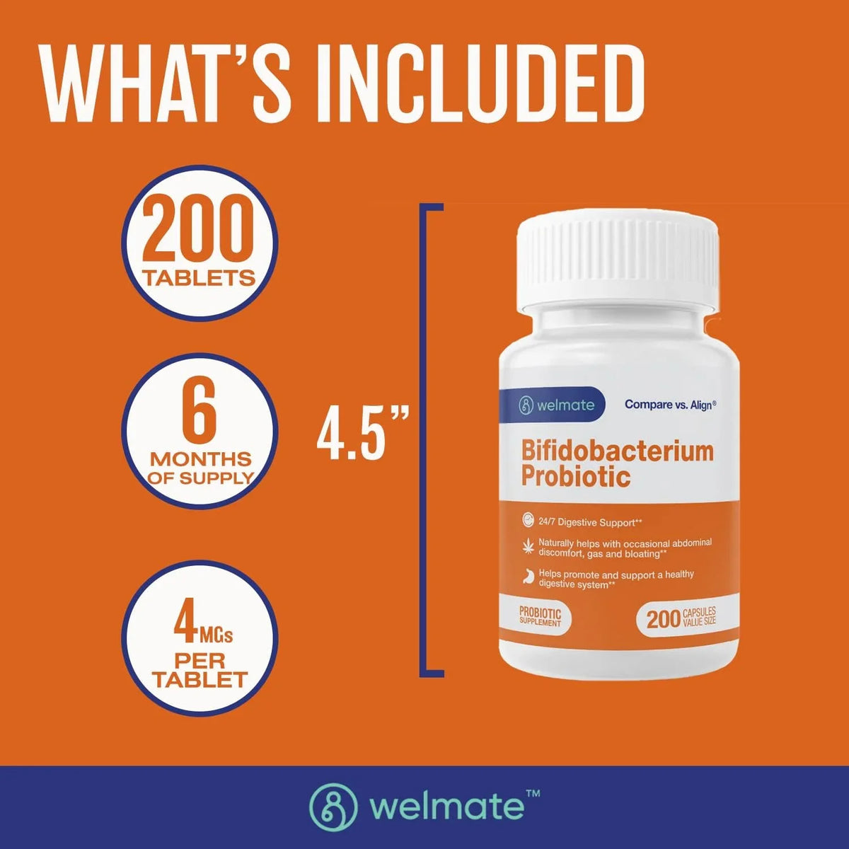Probiotic Count 24/7 Support Digestive - - Welmate 200 Supplement Bifidobacterium Capsules