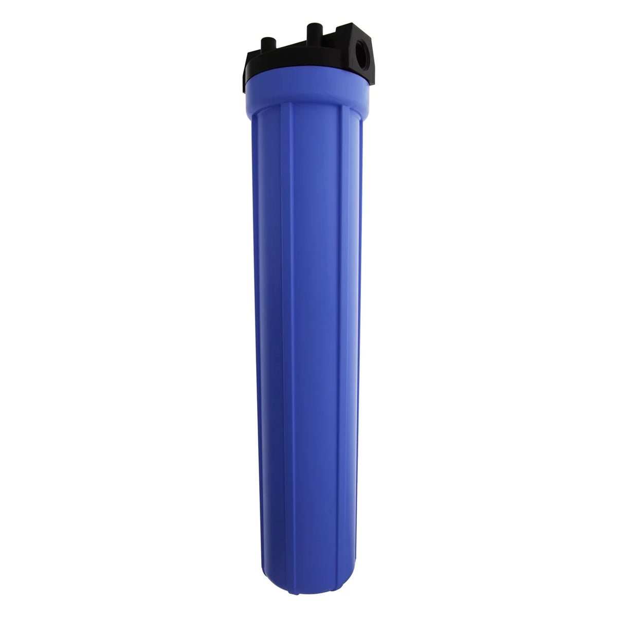 inch Filter Housing 150070 Standard Pentek Blue 20