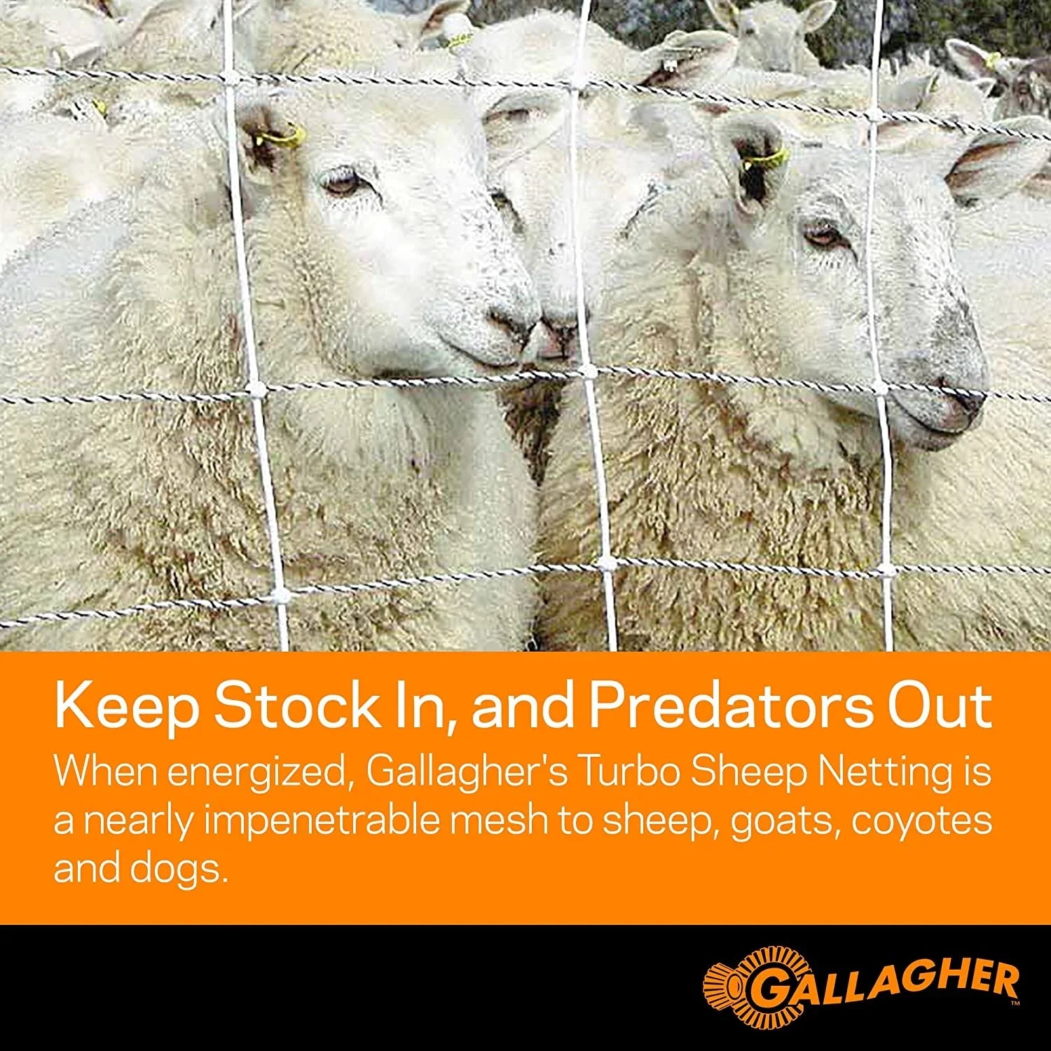 Poultry 48 Netting All Gallagher 1 In in. A207015