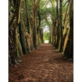 Waterford Pleasure Ground The x 12 - by County Collection Lismore Print Poster Ireland 16 Image Irish - Castles