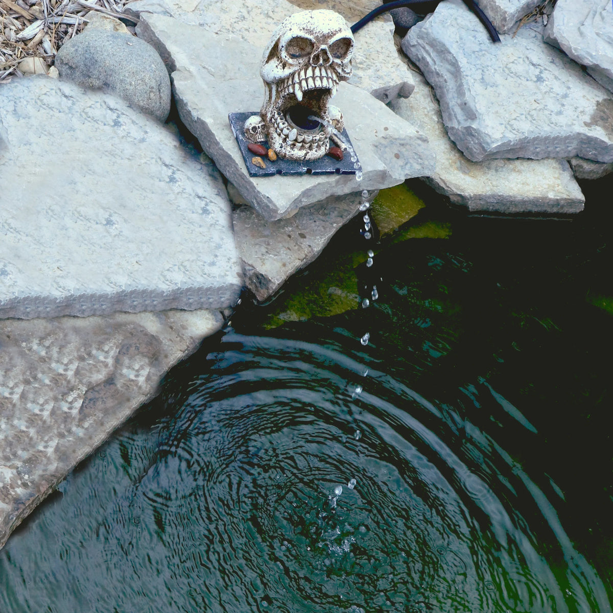 exterior Statuary liquid Fountain Custom Feature Decorative Skull Spitter Pro