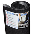 Blast Sand Quantum Serial Treadmill Running Belt Horizon TM363