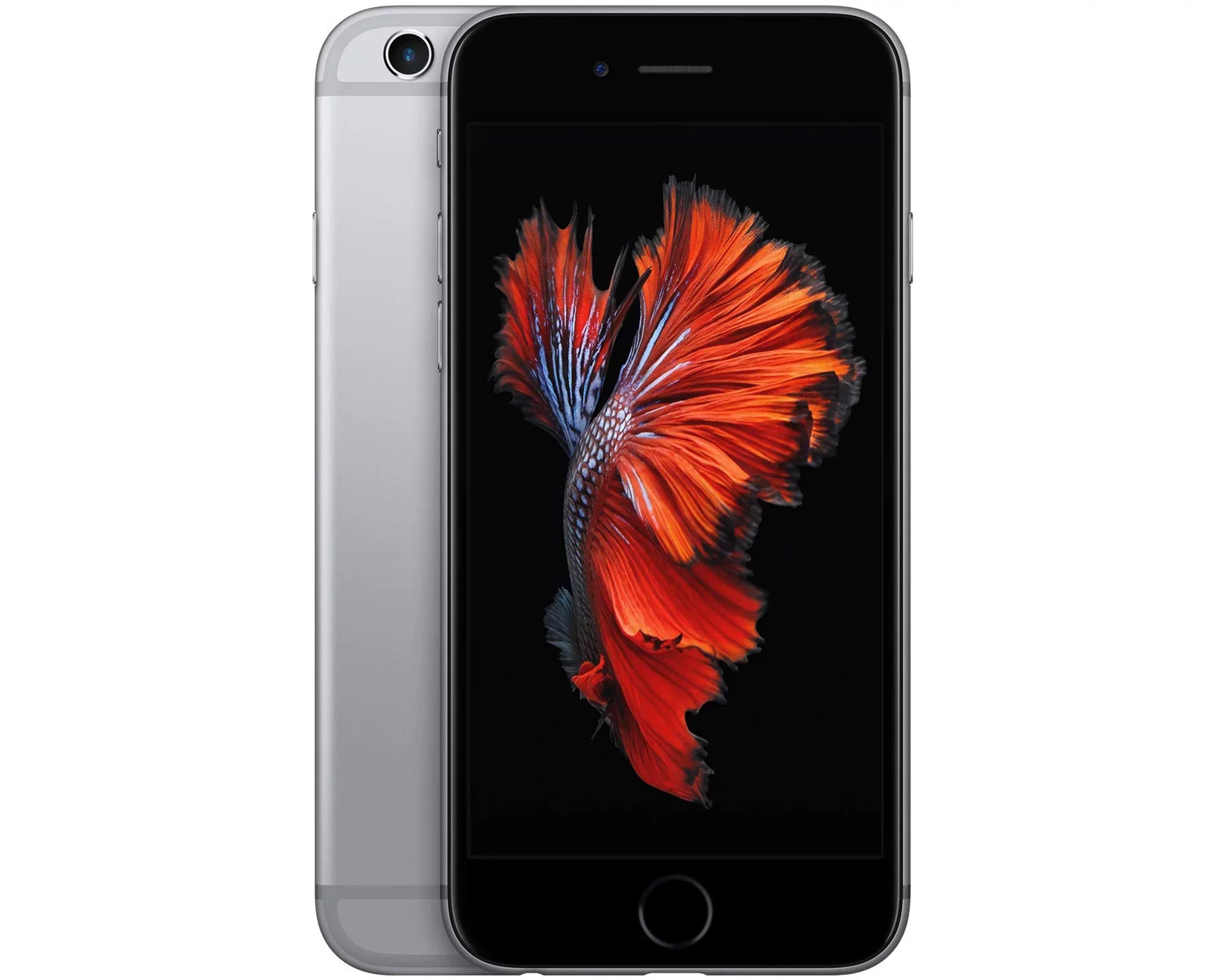 GSM Restored - / Space 6s Unlocked iPhone Gray CDMA 16GB, (Refurbished)