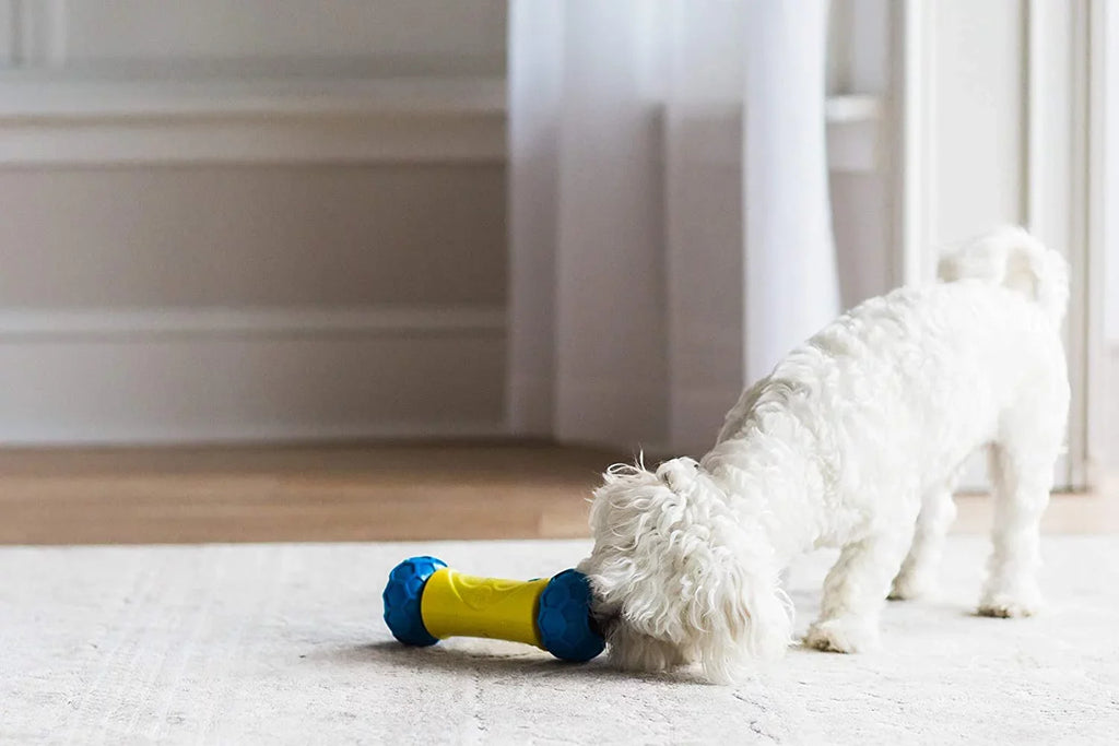 Dog Bone JW Treat Rolling Toy Robo Auto