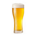 Extract hops Homebrew Malt Beer kit ingredients WHEAT and Recipe AMERICAN