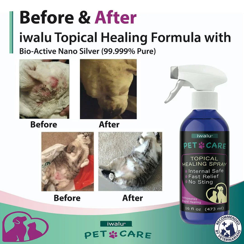 Allergy Coat Skin Skin Dry Relief Supplement Treatment Itch Moisturizer Cleaner Relief Dog Dog For Anti Anti Spot Soother Care And Dog Skin Pet Medication Wound Paw For (16oz) Itchy Hot Best Cat Spray