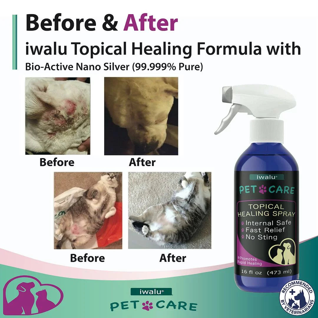 Allergy Coat Skin Skin Dry Relief Supplement Treatment Itch Moisturizer Cleaner Relief Dog Dog For Anti Anti Spot Soother Care And Dog Skin Pet Medication Wound Paw For (16oz) Itchy Hot Best Cat Spray