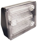 13W Ws40 Compact Elco Fluorescent - Black Floodlight Pl