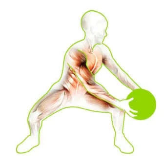 Medicine PBLX Balls 60030 - lbs 8