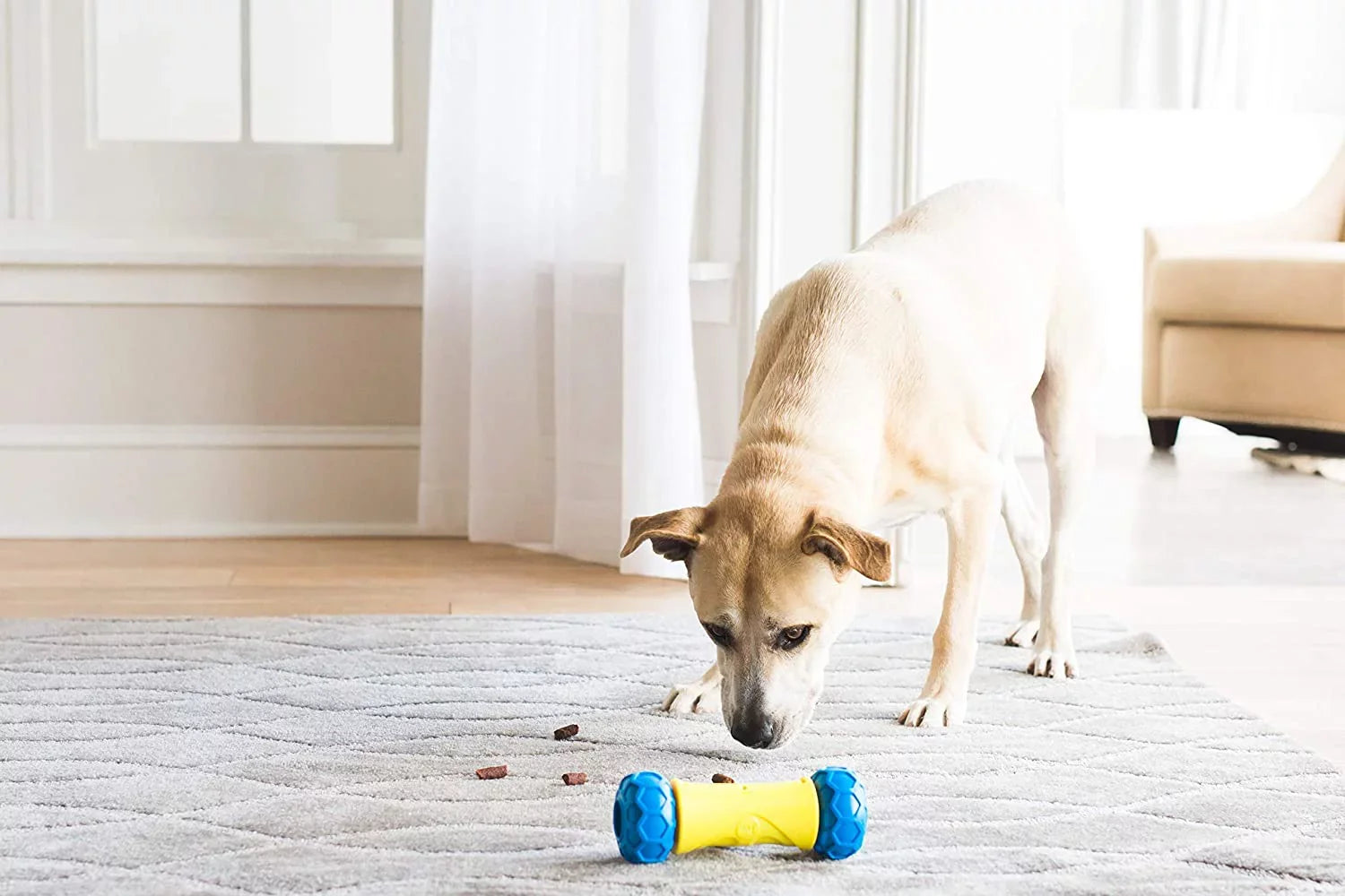 Dog Bone JW Treat Rolling Toy Robo Auto