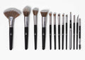 of Pro Brush Studio Cosmetics Set NOPLUS 13ps BH