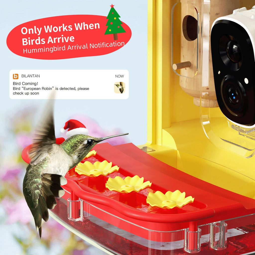 Smart Hummingbird House, Camera Species, Feeder Up-Close,AI Hummingbird Wooden Capture,Birdwatching exterior Bird More 2 Identify 350+ Attract Camera Gift Feeder Unique with Hummingbird for Auto-Video