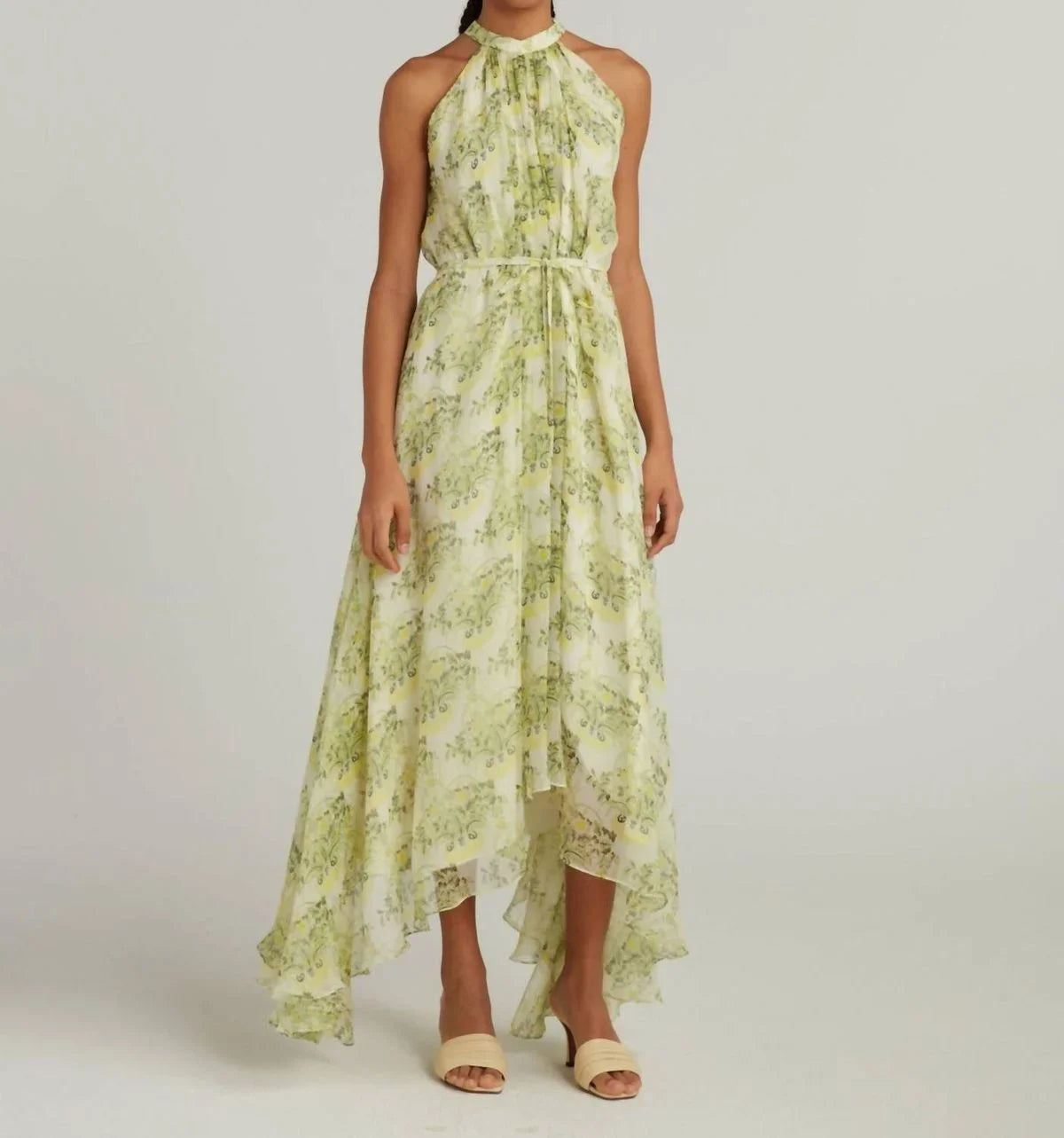 Evening dimension Straight Lemon 6 Saloni Terrarium Gown Women's