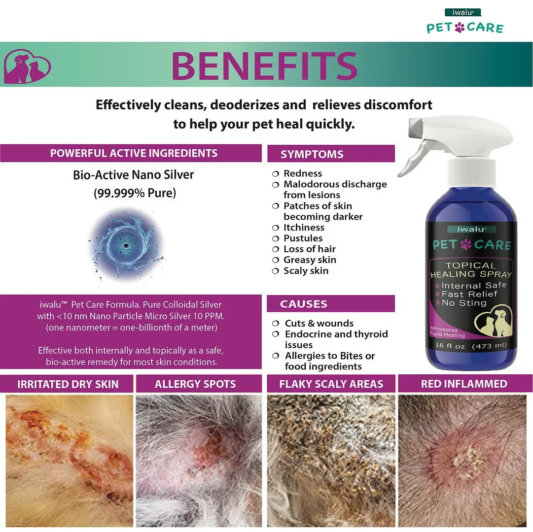 Allergy Coat Skin Skin Dry Relief Supplement Treatment Itch Moisturizer Cleaner Relief Dog Dog For Anti Anti Spot Soother Care And Dog Skin Pet Medication Wound Paw For (16oz) Itchy Hot Best Cat Spray