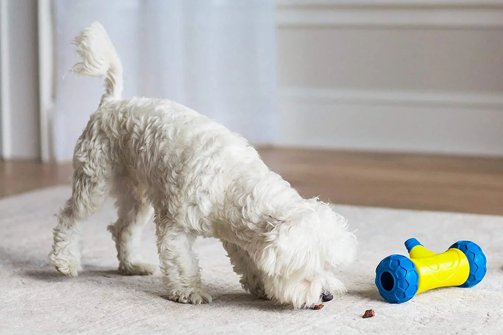 Dog Bone JW Treat Rolling Toy Robo Auto